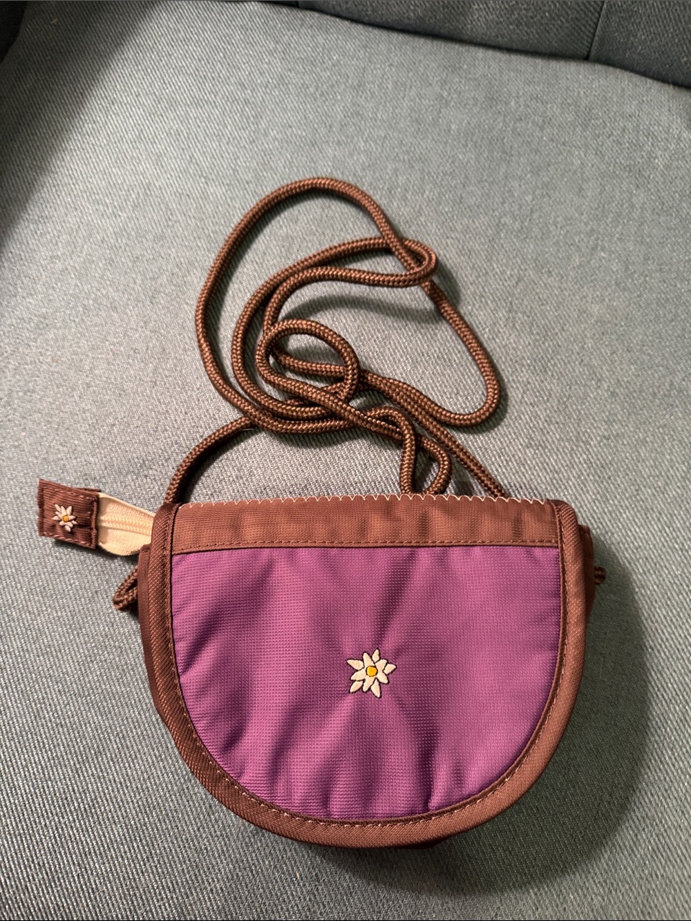 Sherpani Purple and Brown Floral Crossbody Purse